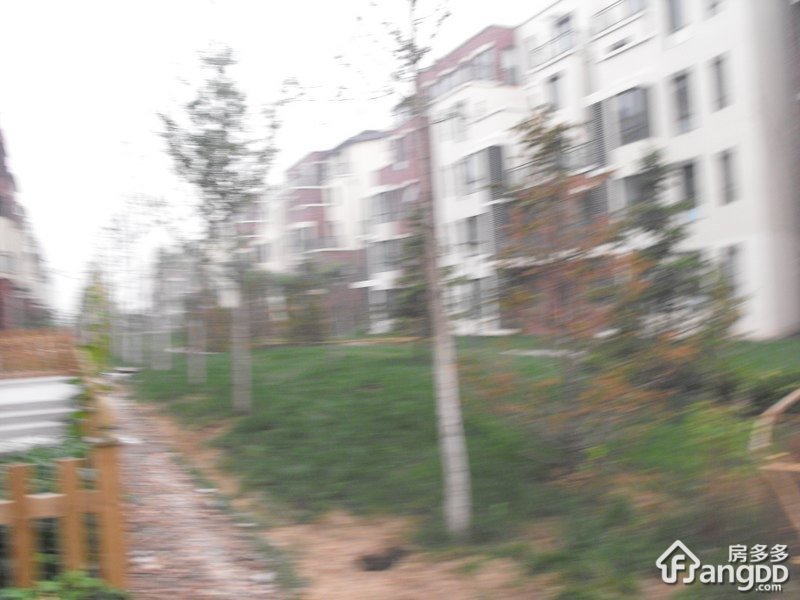伴山人家小区图片