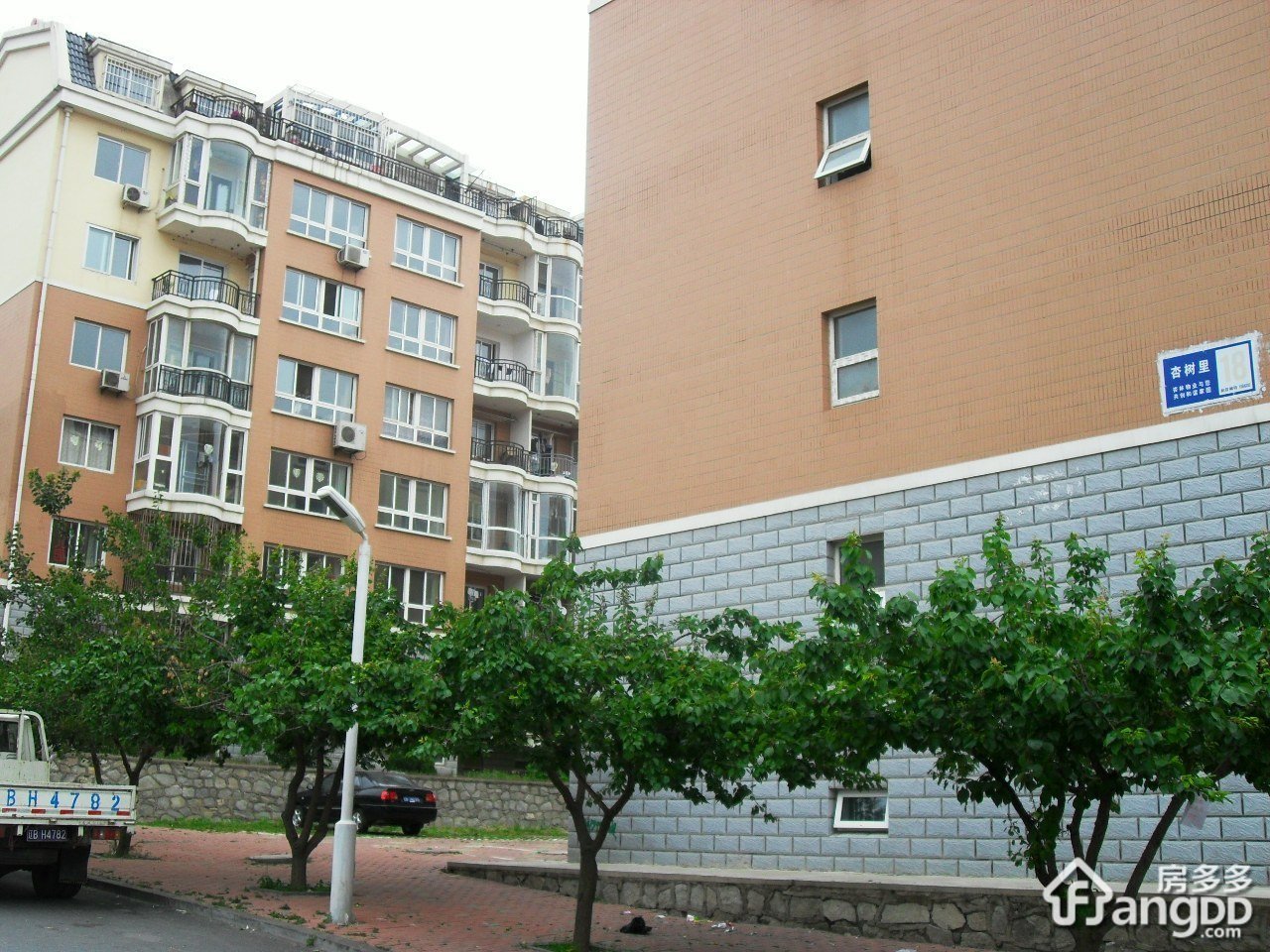 杏树里小区图片