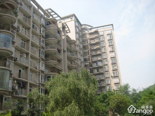 金洁南桥晓月小区图片