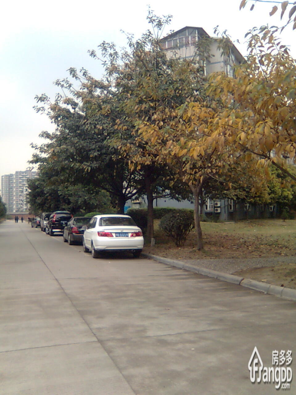 新绿苑小区图片