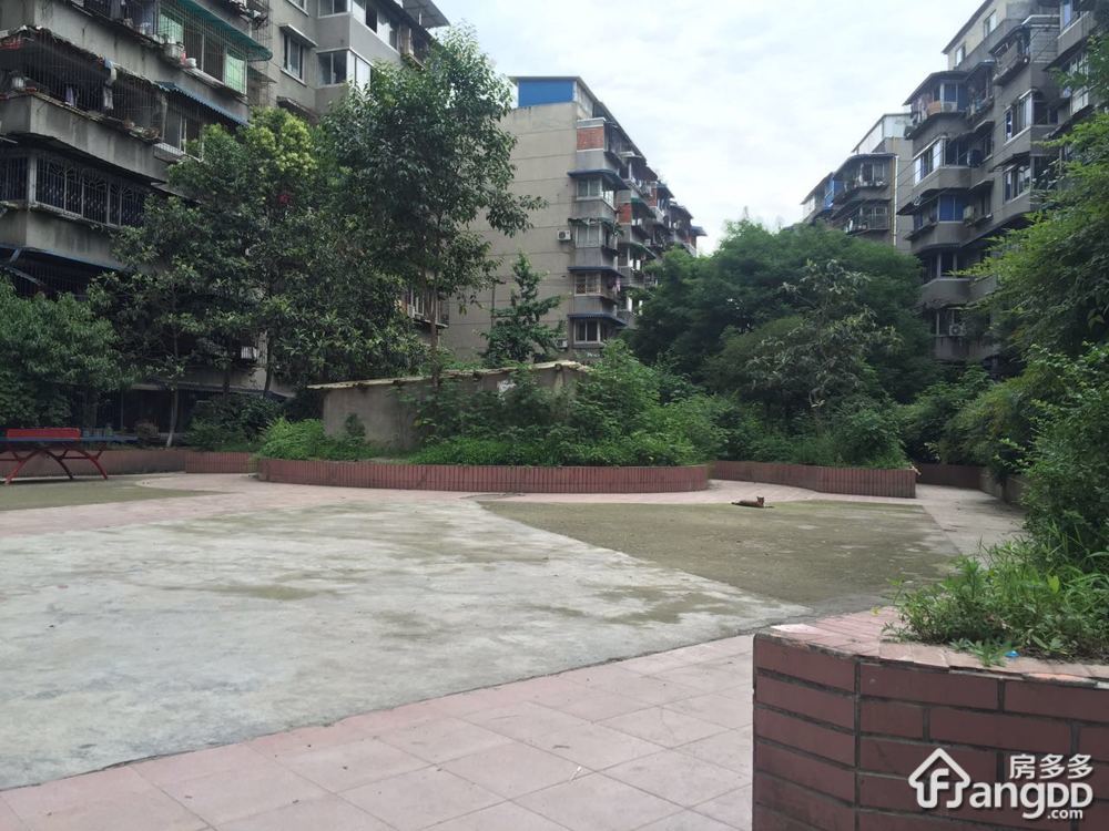 交桂一巷11号小区图片
