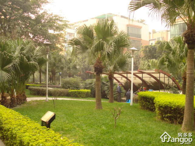 紫云居小区图片