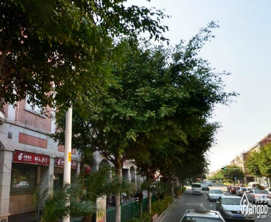 水门社区小区图片