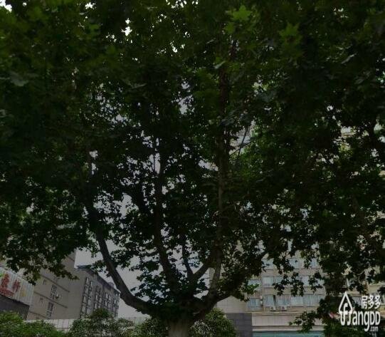 凤凰新城小区图片
