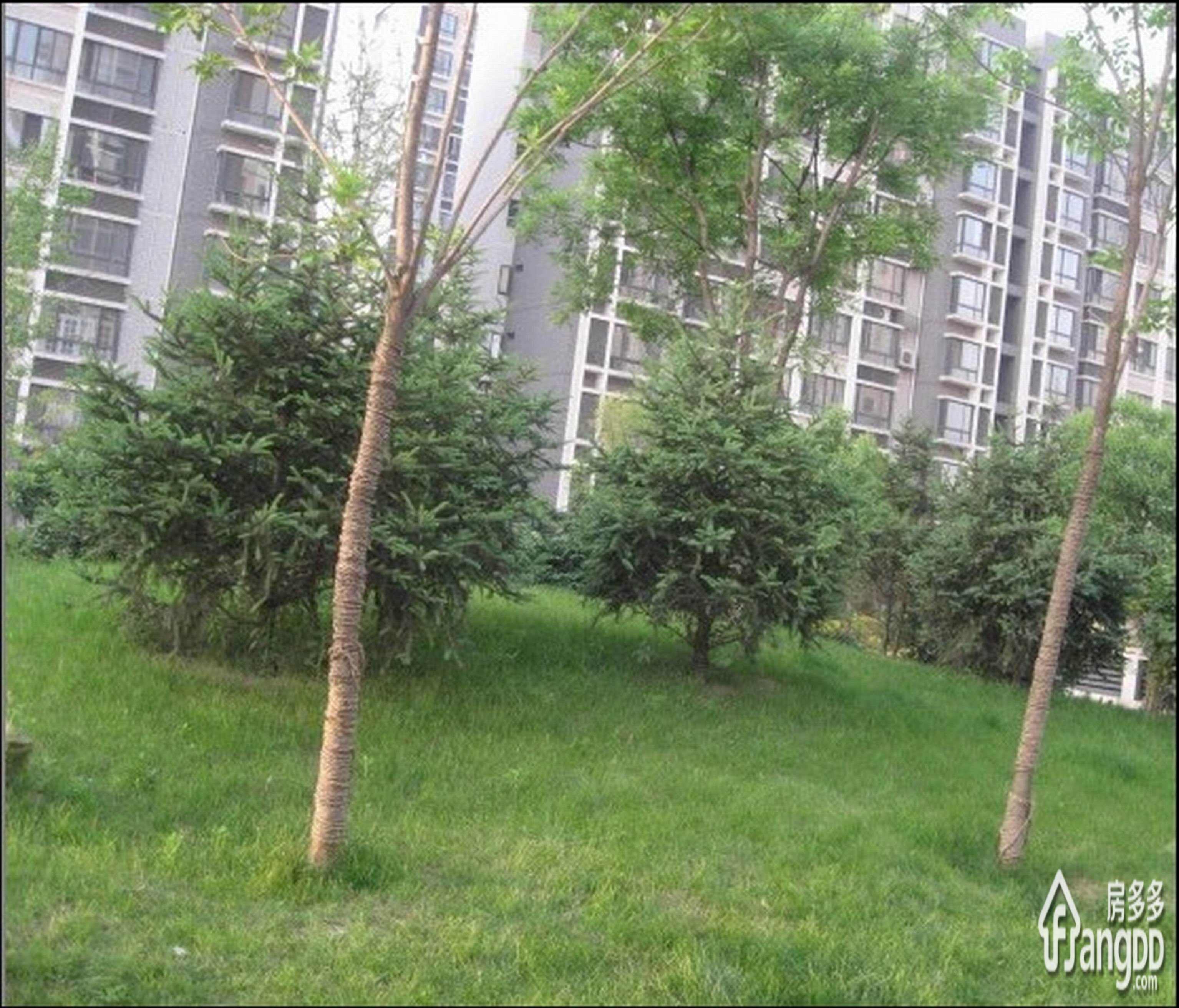 家立方小区图片