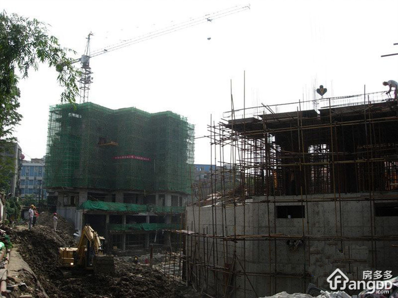 金凌育才雅苑小区图片