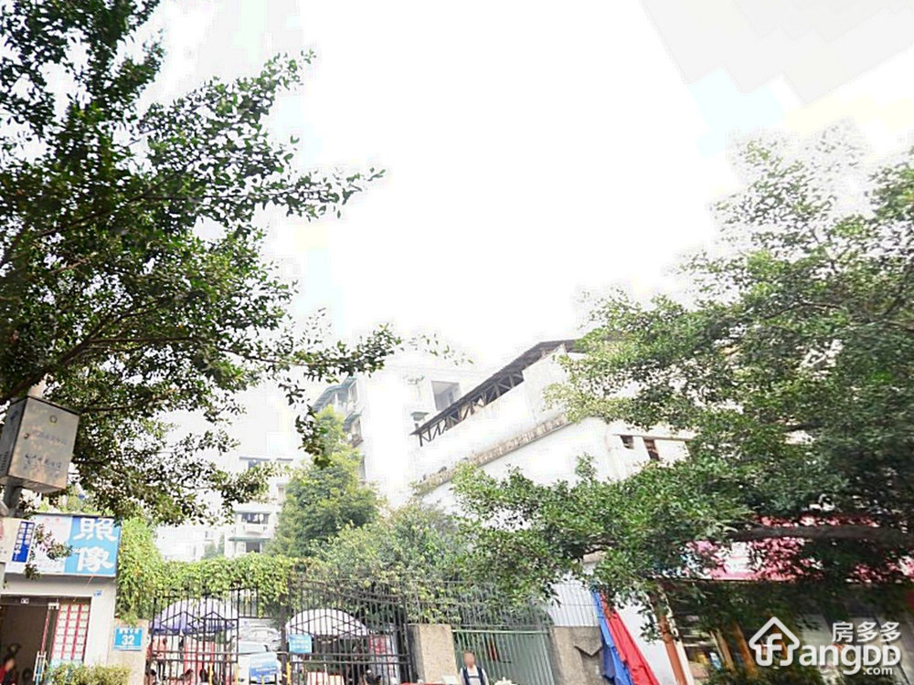 新雅中街32号小区图片