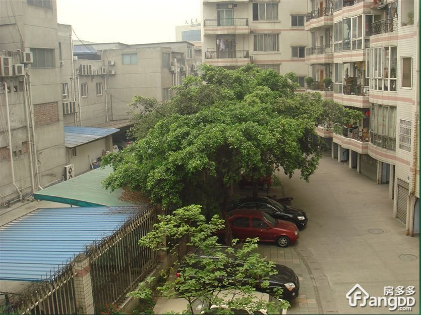 新世纪家园小区图片