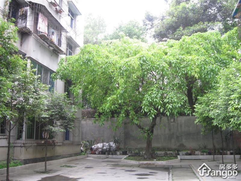 农业局家属院小区图片