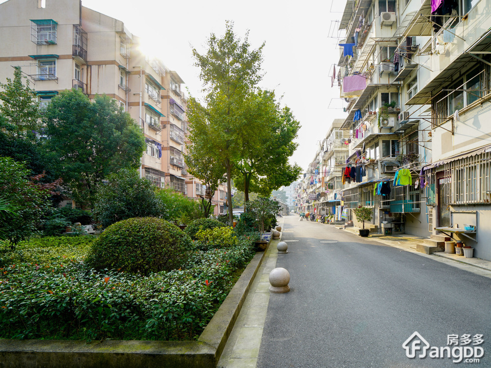 红花村165号小区图片