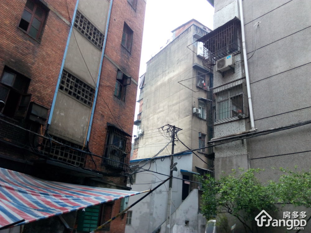 西马路11到13号小区图片