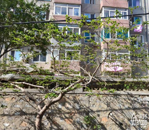 富民小区小区图片