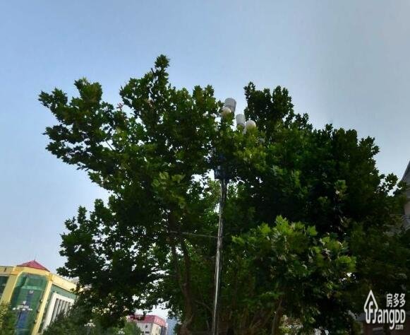 光明花园小区图片