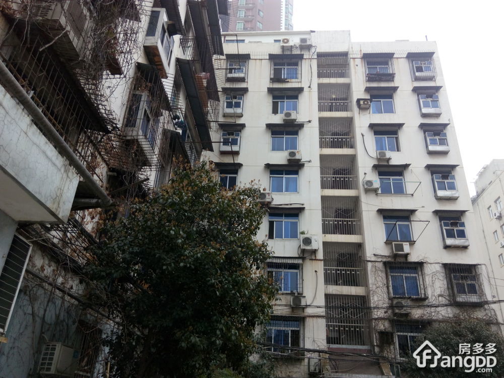 台北三村63到65号小区图片