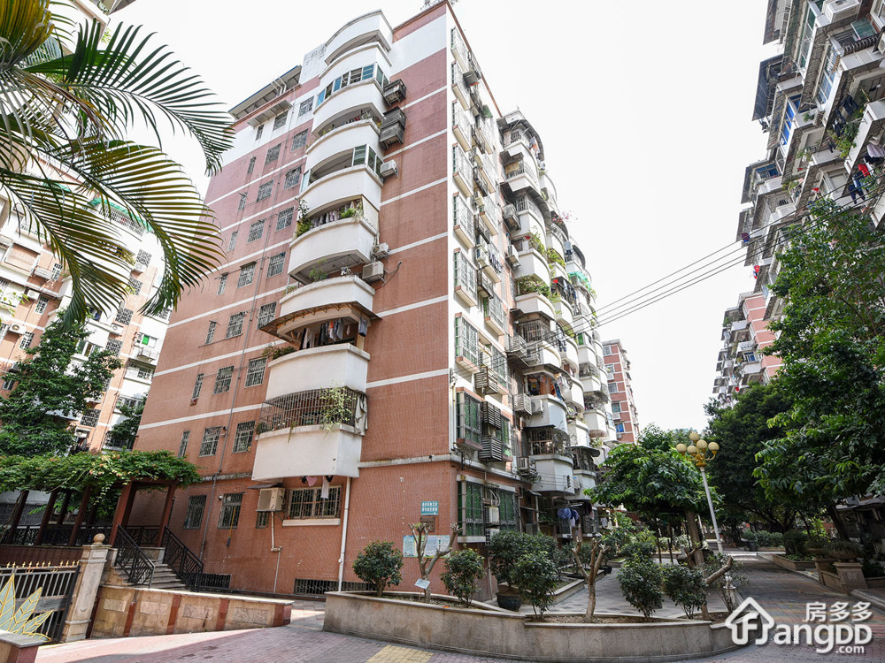 沙园沙园二街小区图片