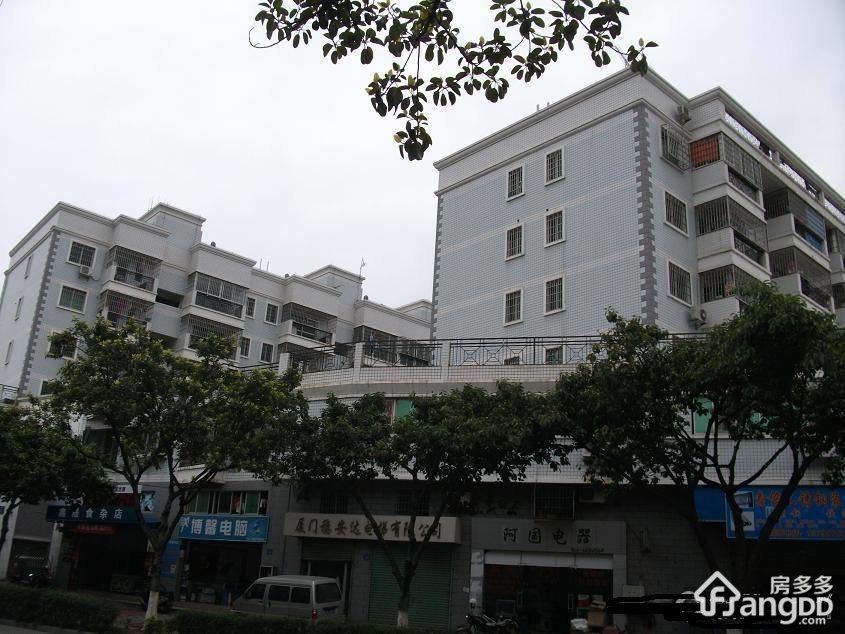 天杏苑小区图片