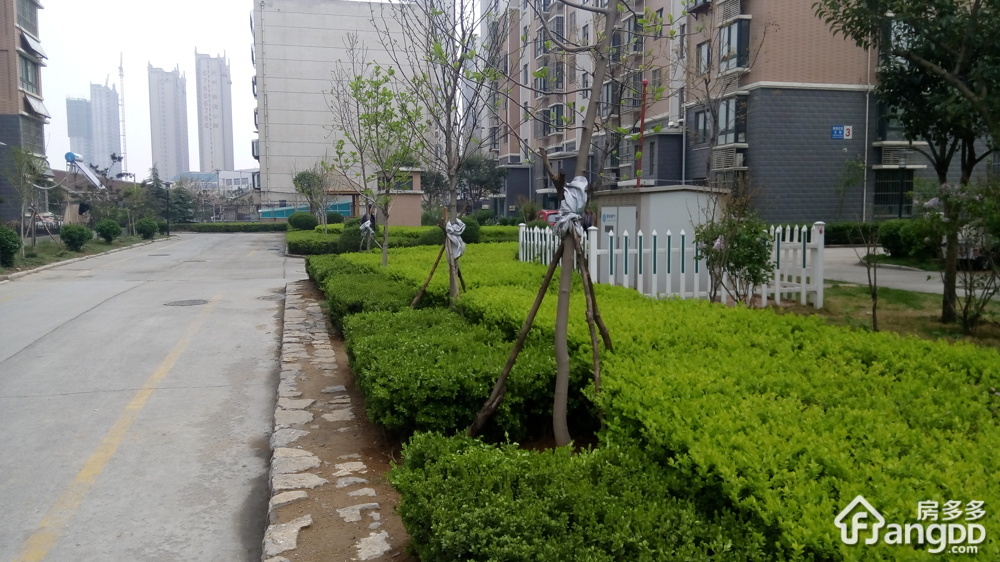 滕骐冠宸花园小区图片