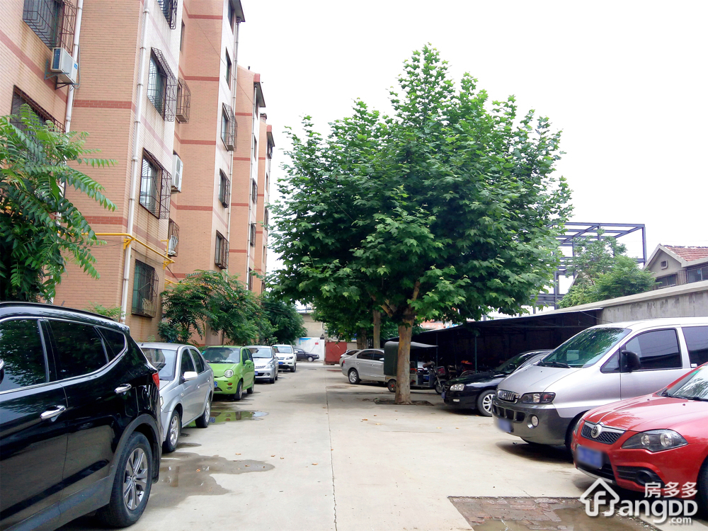 泺口街道办事处宿舍小区图片