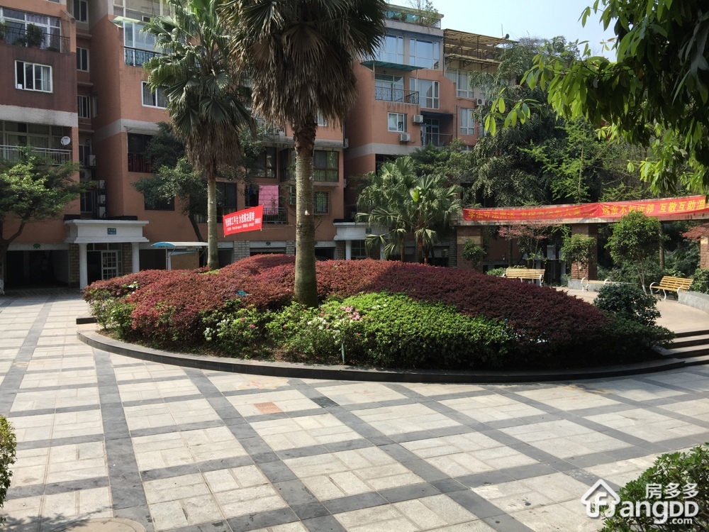 金日阳光花园小区图片
