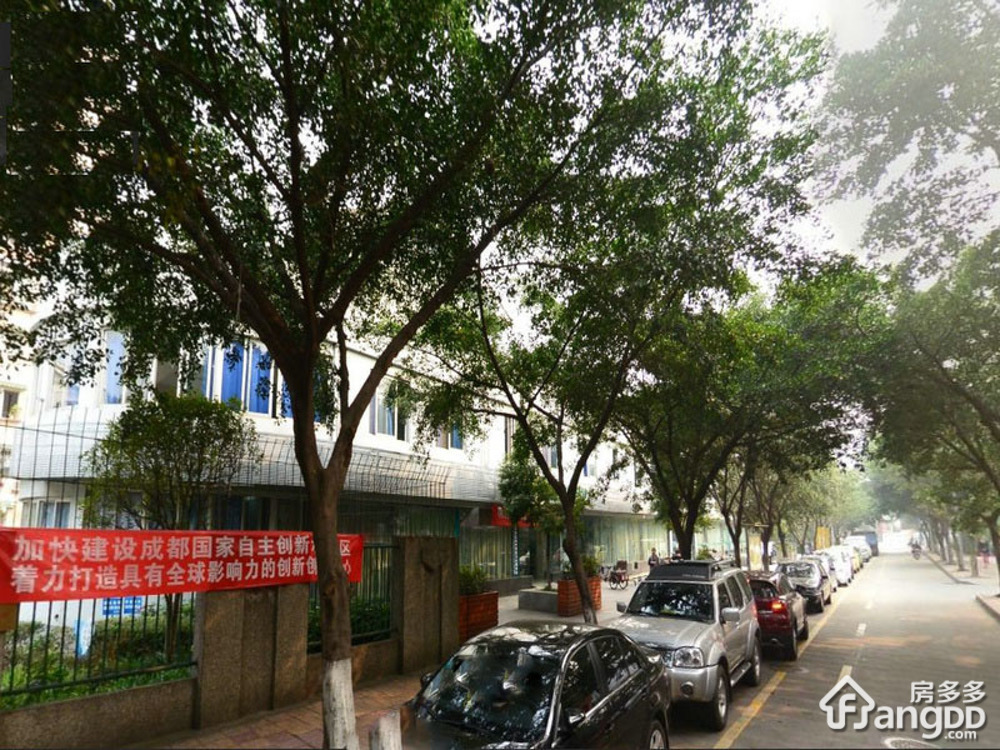 新雅中街12号小区图片