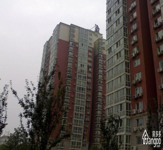 鑫兆雅园南区小区图片