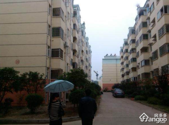 桂花苑小区小区图片