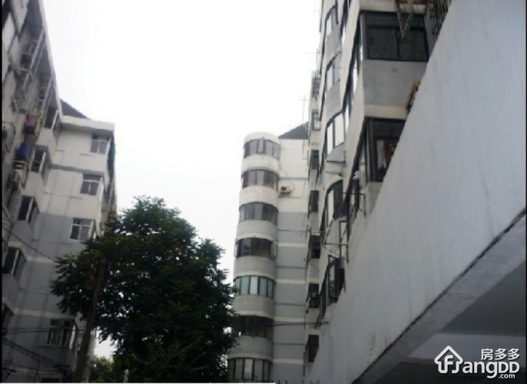 黎明新村玫瑰园小区图片