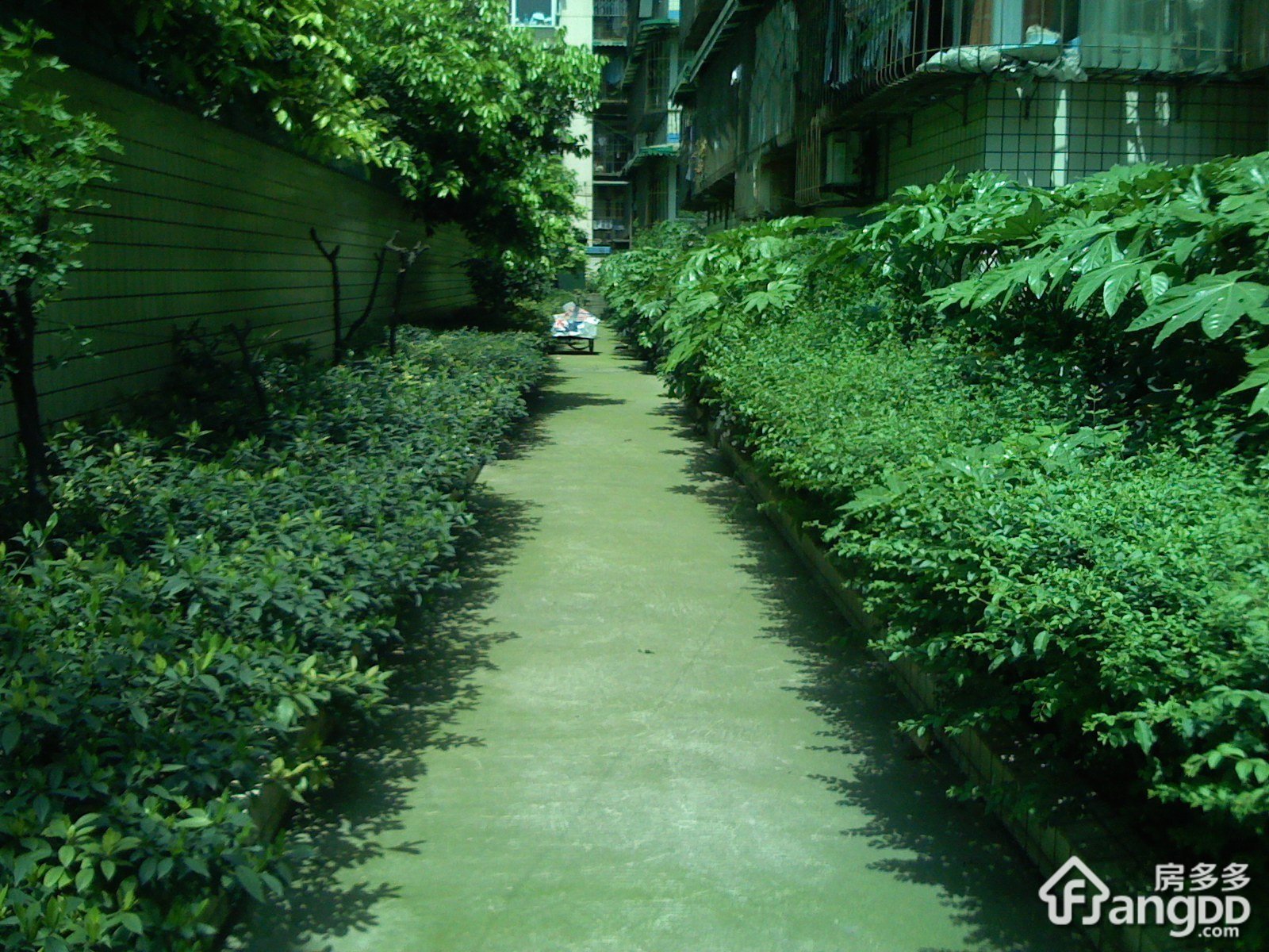 永丰路11号小区小区图片