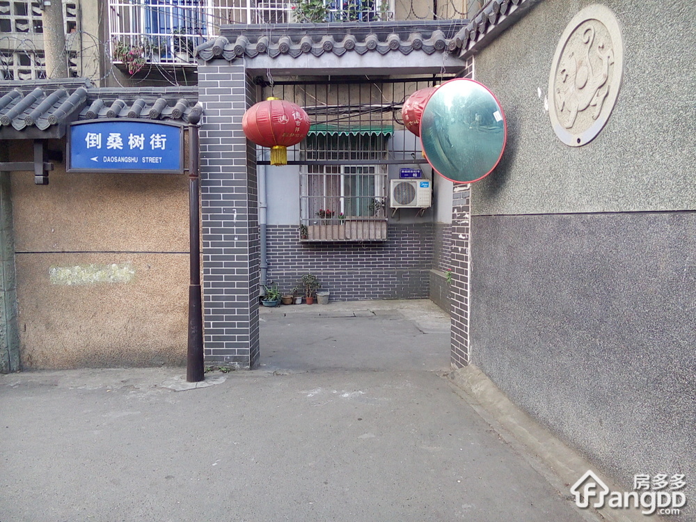 倒桑树街142号小区图片