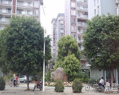 桃源路单位房小区图片