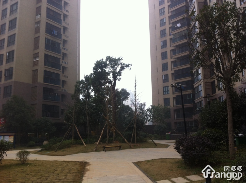 星语林阿普阿布小区图片