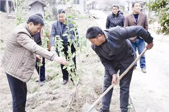 渠村村人口_村村通客车图片