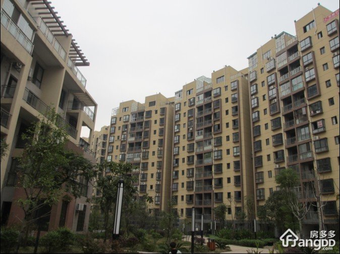 秋收广场铂金水岸小区图片