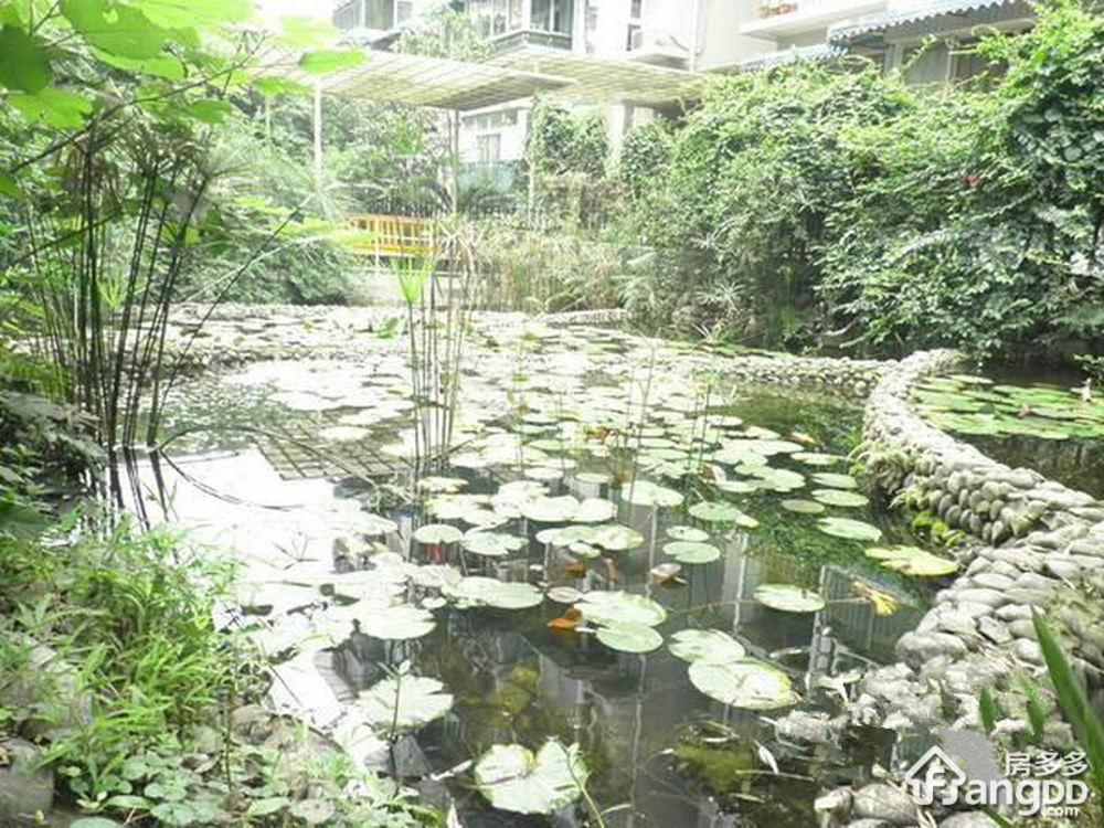 星科北街2号小区图片