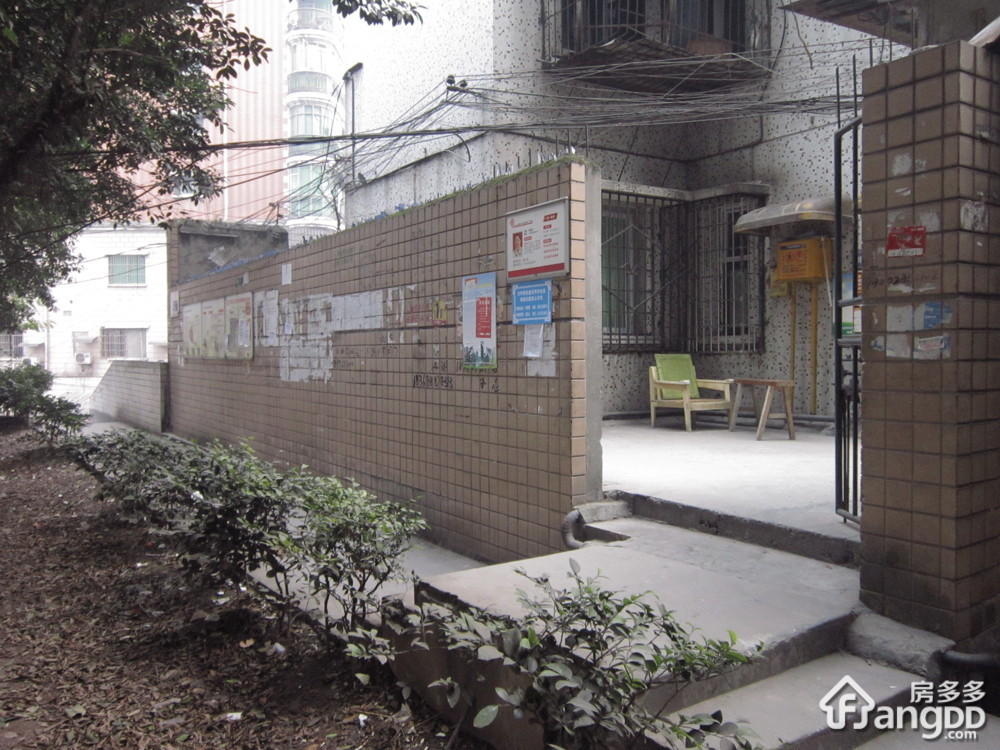 石坪桥正街特24号小区图片