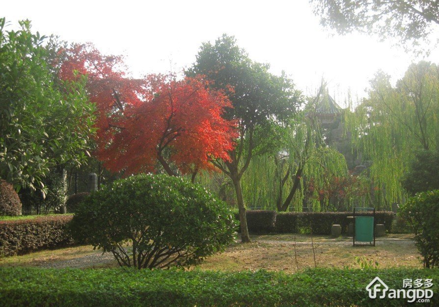 金星住宅小区小区图片