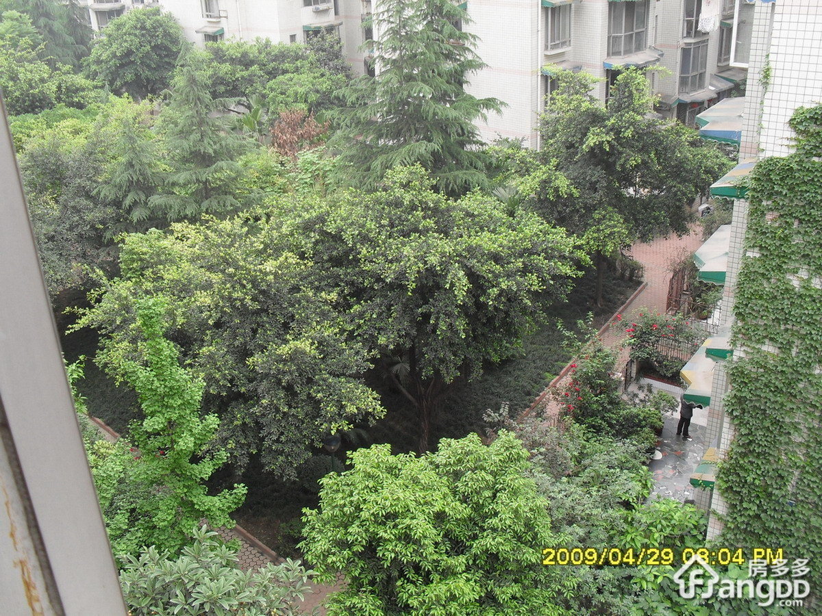 向阳小区小区图片