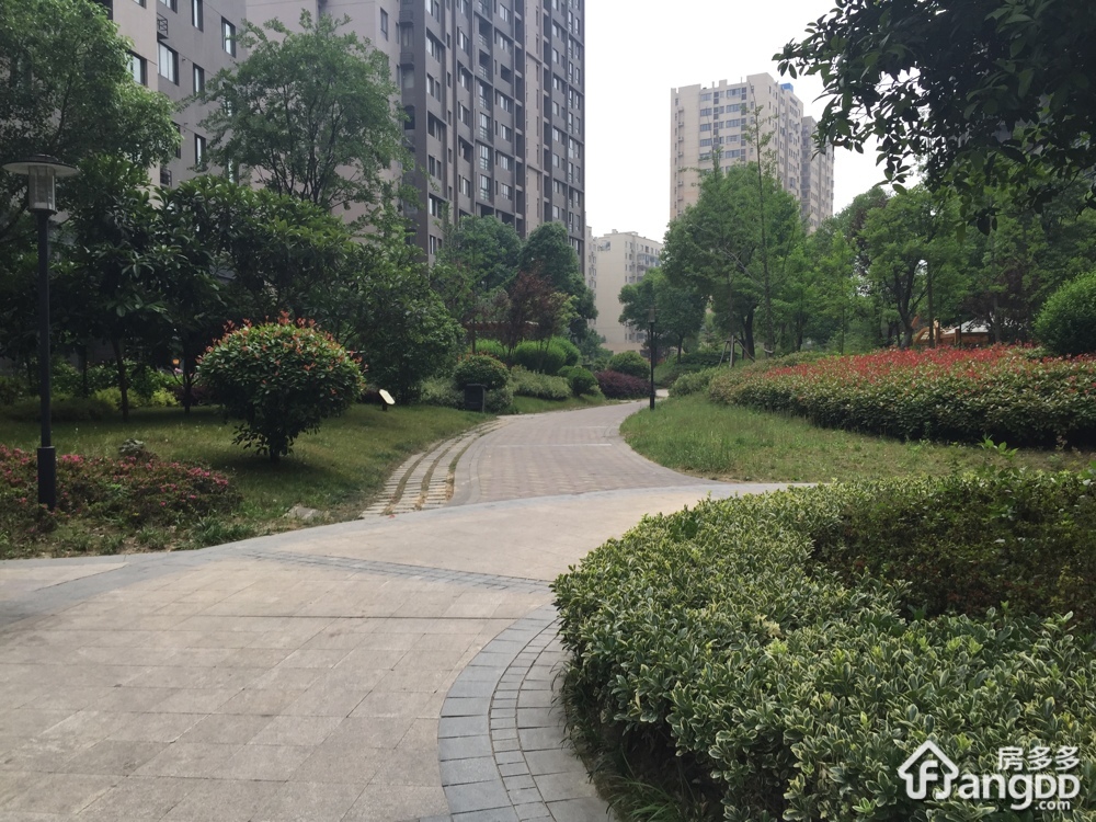 信达西山银杏小区图片