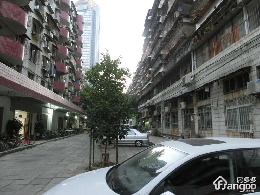 特运松柏文明小区小区图片