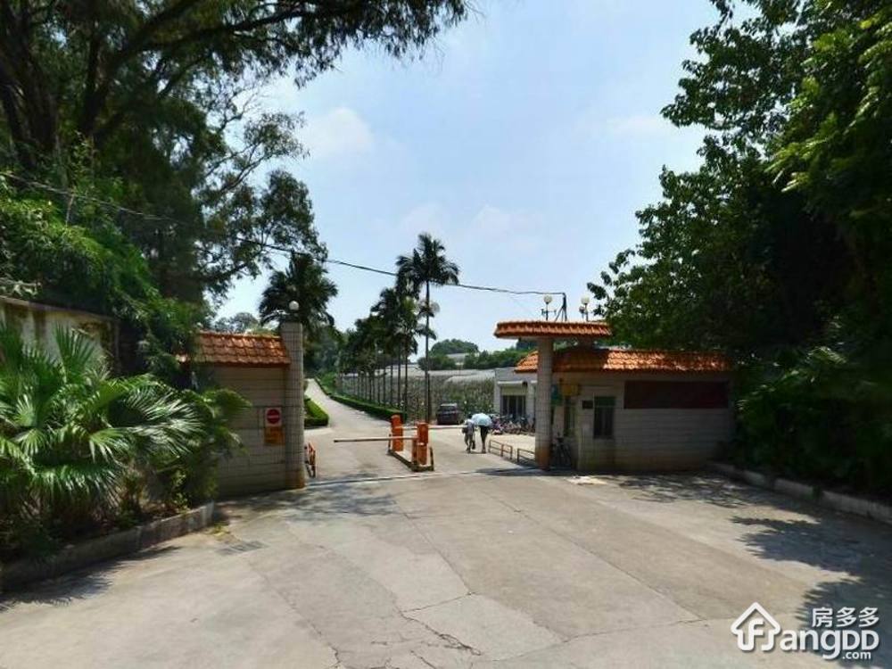 果树研究所小区图片