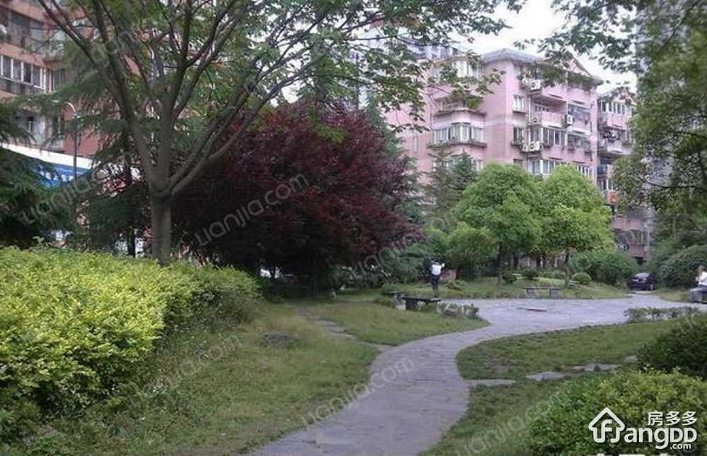 曹杨四村(兰花园)小区图片