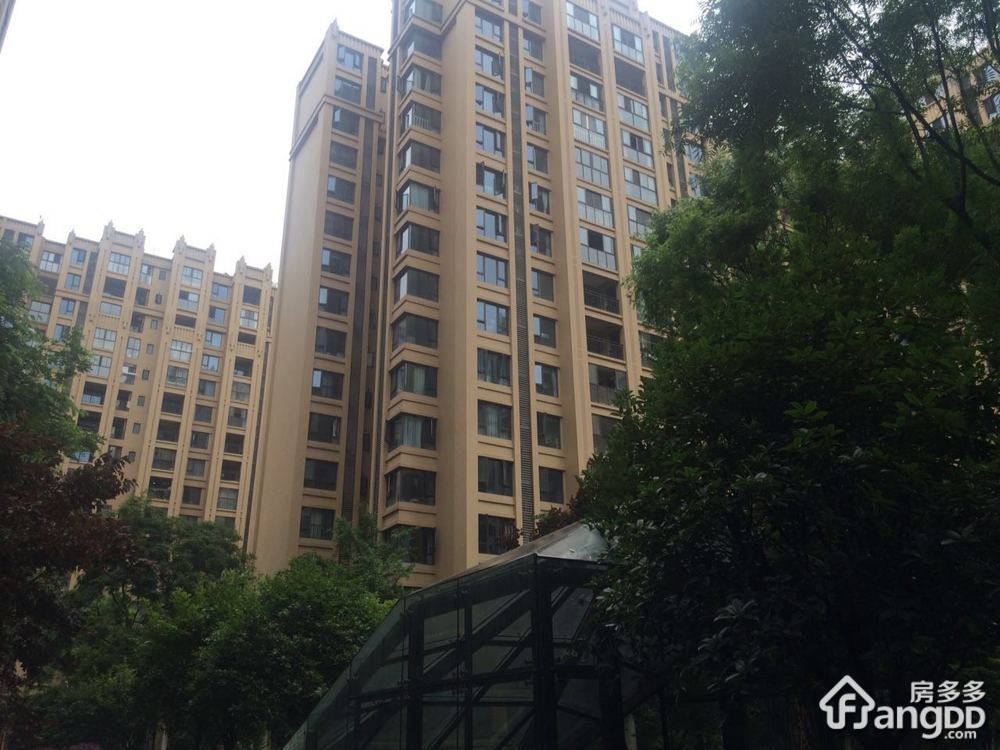 丽都世家A区小区图片