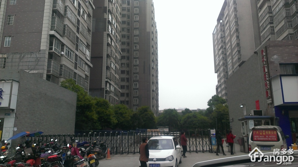 未来蜂巢小区图片