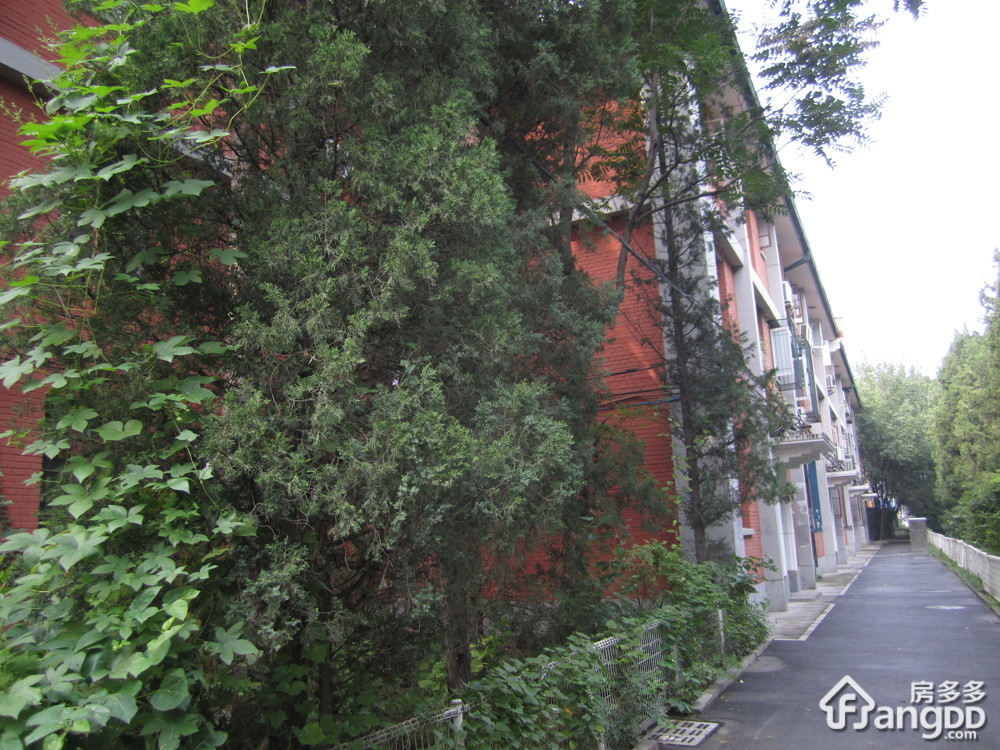 百万庄子区小区图片