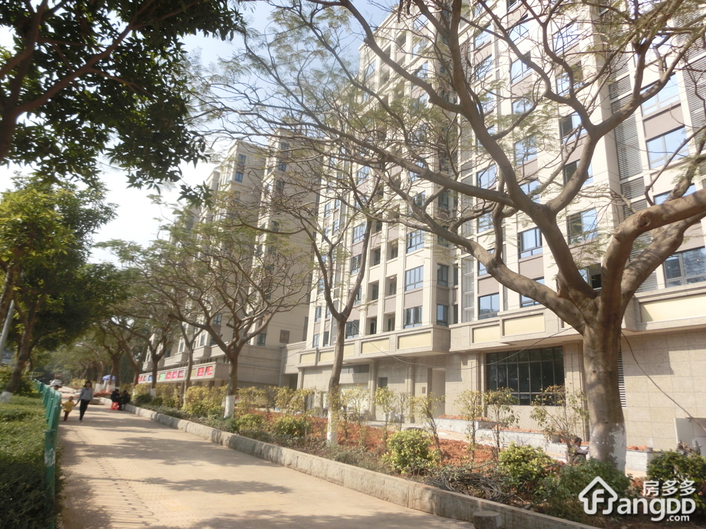 金枋世家二期小区图片