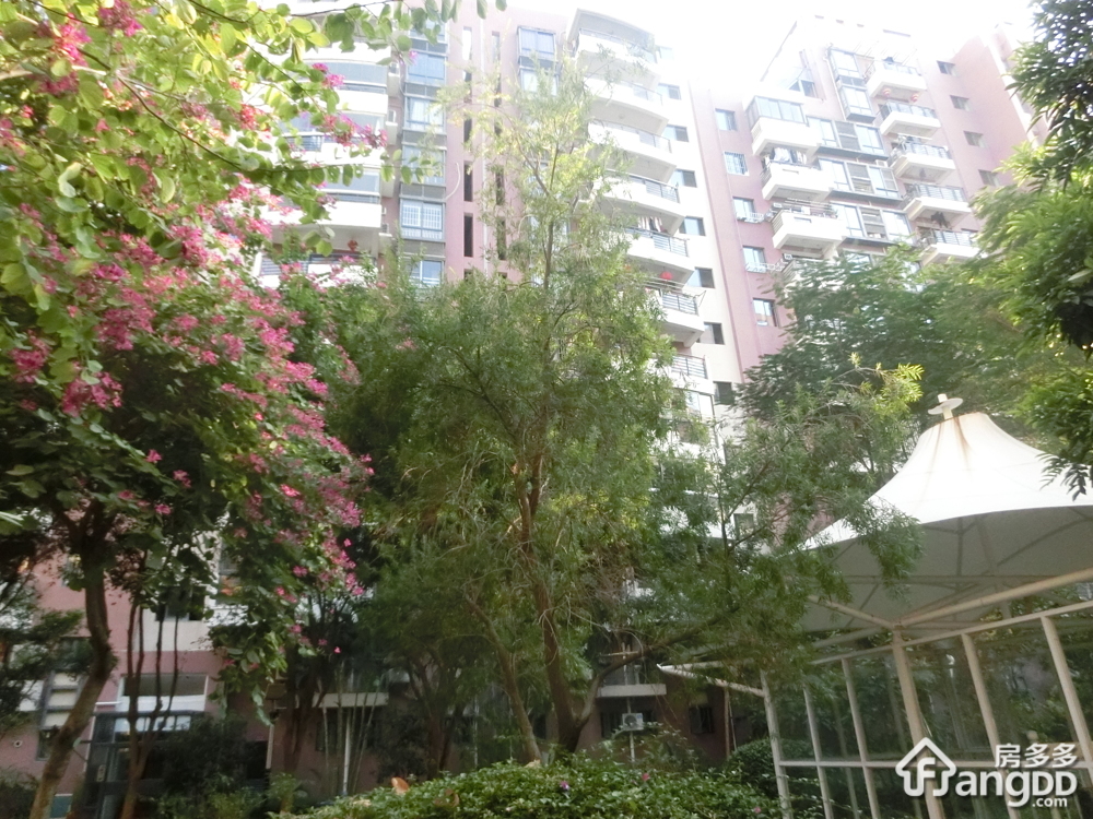 特房G01新座小区图片