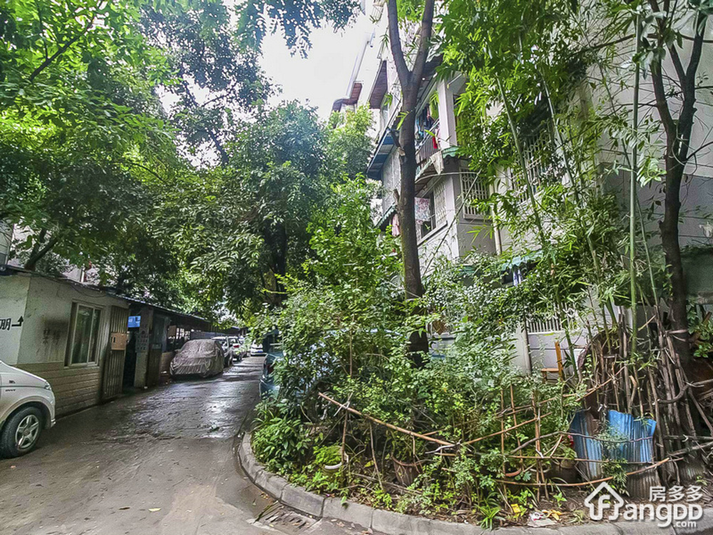 经天路4号小区图片