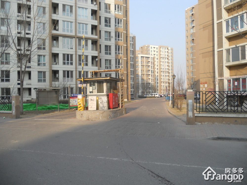 乔园小区图片