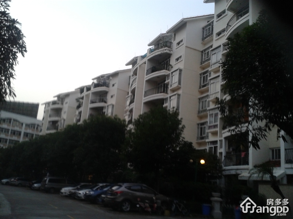 碧桂花城紫翠苑一街小区图片