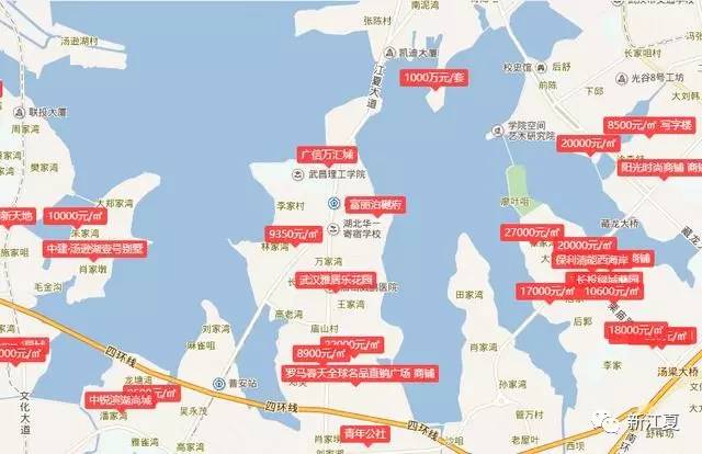 远城区人口_人口普查(3)